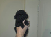 Shihpoo puppies for sale