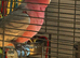 2yr old male Galah cockatoo