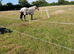 Laddy 6yro 16hh tb gelding