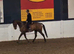 16.2 bay evening prospect
