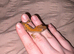 juvenal crested geckos