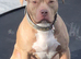 Male staff 3 years old