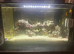 New wave 48L marine tank and contents