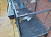 Double bird cage forsale