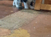 Three amazing kittens