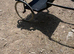 Pony cart and leather harness for mini to standard Shetland