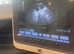 Canine ultrasound scanning