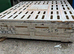 Bargain Pigeon Equipment