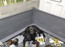 BEAUTIFUL PUPPIES FROM FULLY HEALTH-TESTED PARENTS