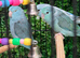 Parrotlets £70 each