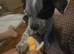 Pup needing a new home asap 12 weeks old