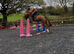 Experienced kind mare