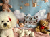 Pure Pedigree Champion Bloodline Bichon Frise