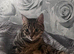 Stunning Bengal Mix 10month old Female
