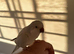 Male Quaker and cage
