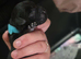 3 girls and 1 boy Paterdale Terriers for sale