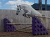 Beautiful Big Irish Mare