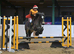 Pony club dream