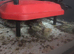 quail chicks for sale also fertilised eggs.