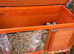 2 female guinea pigs 6 months old