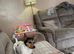 2 boys left!! Jack russle puppies