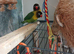 Lovebirds