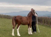 Registered welsh C 2yo filly show quality