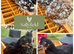 Pekins and marsbar chickens