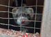 2 jills available working lines
