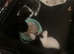 Bengal x moggy kittens kitten boy girl flead wormed microchipped