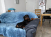 6 month old Rottweiler