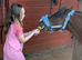 Wee Teddy 11.1hh turning 4 yrs Welsh A Gelding
