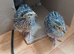 3 Week Old Quails