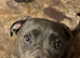 Luna, 10 months