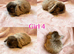 Baby Mini Lops (Ready 8/08)