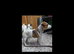JACK RUSSELL TERRIER PUPS FOR SALE