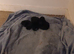 3 adult cats and 3 kittens for rehoming