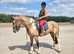 Pony Club Alrounder