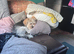 Lhaso apso