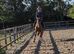 Kind Genuine Gelding looking for his person