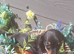 2 remaining pups of litter of 4