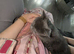 Grey British shorthair mixed