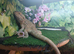 Breaded dragon