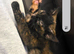 3 kittens available, 13 weeks old