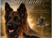 LONGHAIRED SHOW TYPE GSD PUPPIES KC DNA TESTED PARENTS