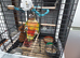 Hand.Reared.Conure