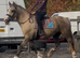 Bombproof happy hacker