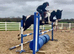 FLASH &ndash; 15.3hh | 5-Year-Old Draught Cross | The Ultimate Dream Horse