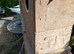 Nestboxs cockatiels redrumps bourkes budgies