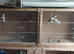Doubke breeding cages with built in boxst bix